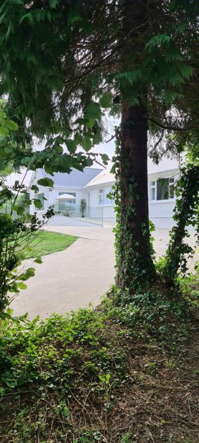 Annie'S House With Thermal Health Spa Moville Exteriör bild